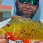 fishing charters and fishing guides for fort myers